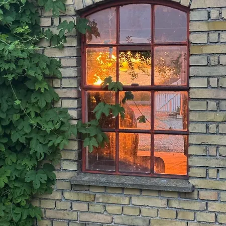 Charming By Forest & On Tasinge Feriehus Svendborg