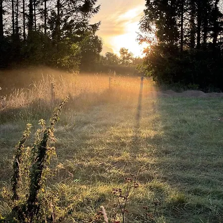 Charming By Forest & On Tasinge Tatil Evi